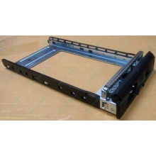 Салазки GMH100100AG0 для HDD для Infortrend EonStor (Можайск)