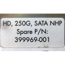 HP 250G 7.2k 432337-001/ 399699-001 / 397377-004 SATA HDD (Можайск)