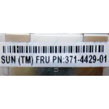 Серверная память SUN (FRU PN 371-4429-01) 4096Mb (4Gb) DDR3 ECC в Можайске, память для сервера SUN FRU P/N 371-4429-01 (Можайск)