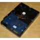 Электроника HDD 500Gb Hitachi HDS721050DLE630 (Можайск)