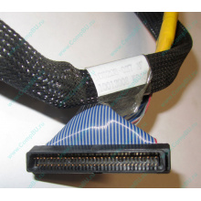 Кабель SCSI HP 166298-037 для HP ML370 G4 (Можайск)