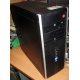 БУ компьютер HP Compaq Elite 8300 (Intel Core i3-3220 (2x3.3GHz HT) /4Gb /250Gb /ATX 320W) - Можайск