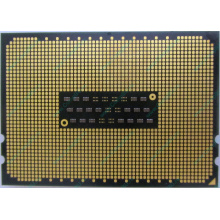 AMD Opteron 6128 OS6128WKT8EGO (Можайск)