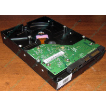 Жесткий диск 500Gb WD WD5000AAKX HP 634605-003 613208-001 7.2k SATA (Можайск)