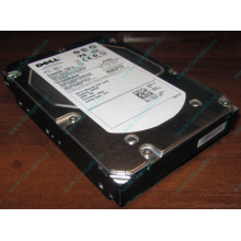 Жесткий диск 300Gb 15k Dell 9CH066-050 ST3300656SS Cheetah 15K.6 6G SAS (Можайск)