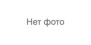 AMD (Можайск)